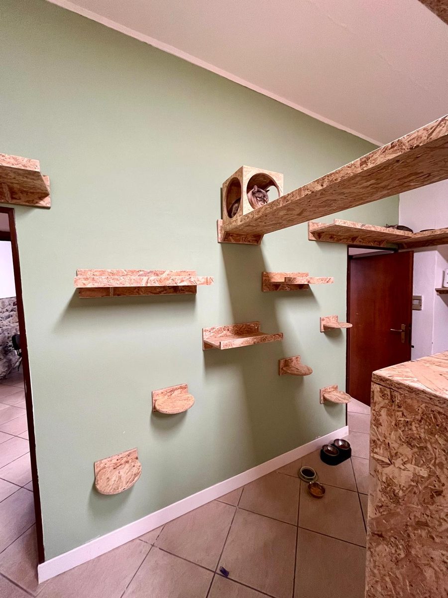 Parete attrezzata con mensole e cuccia sospesa per l'arrampicata dei gatti